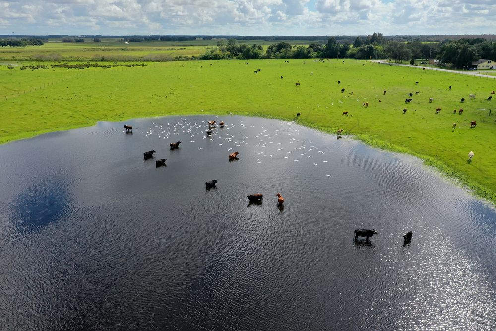 West Lake Wales Industrial acreage: 235 W Lake Wales Rd S, Lake Wales, FL 33859